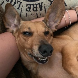 Meet your Posher, Monique